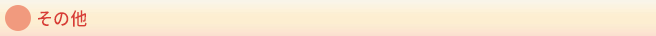 その他