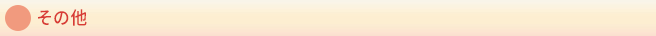 その他